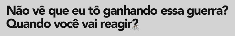 Campanha Dengue 2026