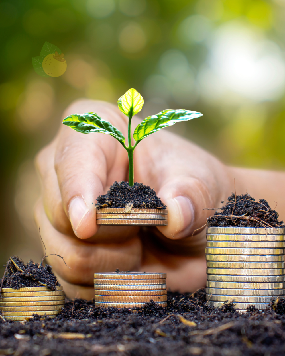 Brasil deve ser o protagonista nas conversas sobre sustentabilidade e comércio