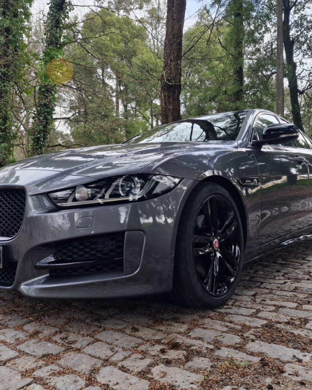 Detran-MS anuncia leilão com Jaguar e outros veículos na categoria de circulação