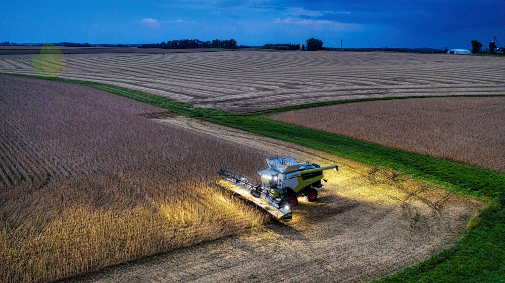 Preços das Commodities Agrícolas Devem Se Estabilizar em 2025, com Queda Prevista para 2026/27