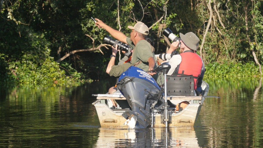 Famtour apresenta Pantanal Sul a experts de observação de aves do mundo