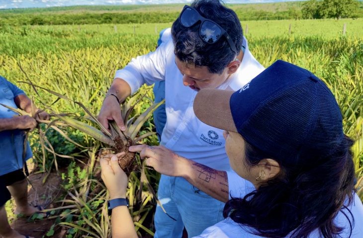 Pantabio: UEMS lança startup com solução para melhorar eficiência agrícola