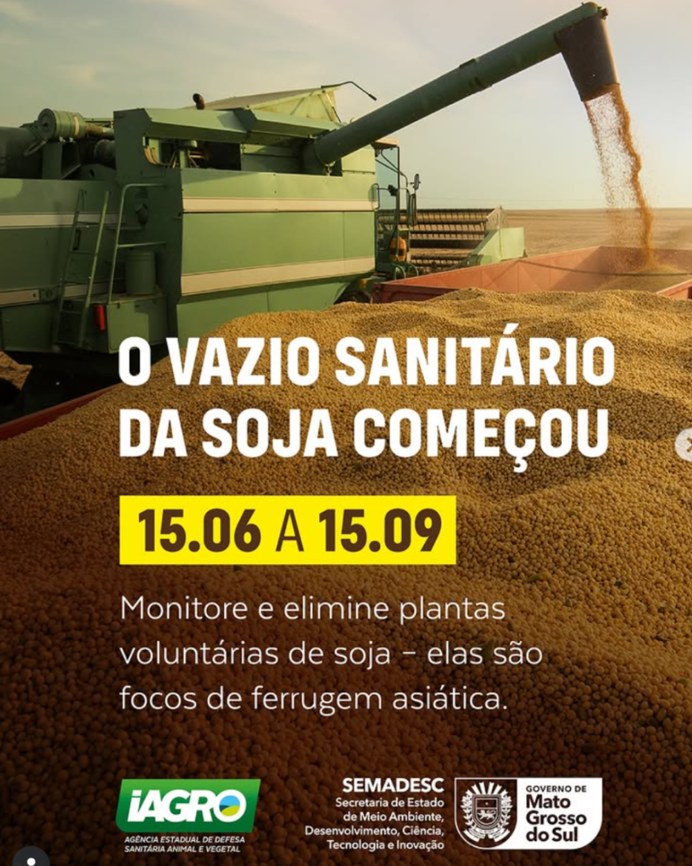 MS entra em vazio sanitário da soja até setembro para controle da ferrugem asiática