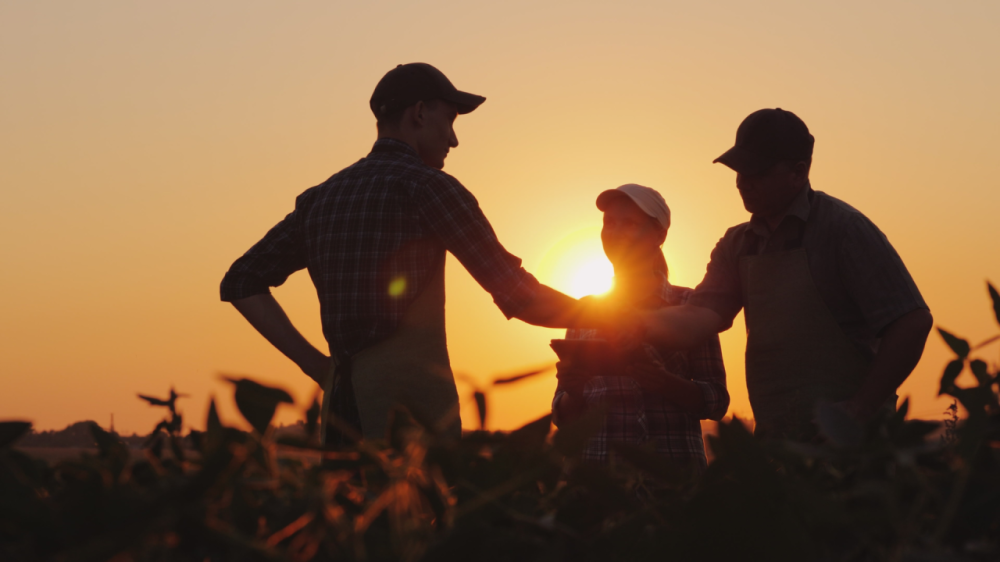 Agraer oferece atendimento especial a agricultores de alcinópolis a partir de 26/06