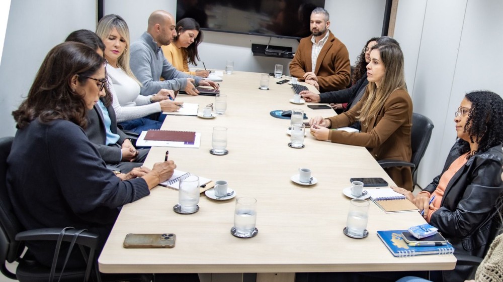 TCE-MS e CMB dialogam para que contratações públicas priorizem mulheres vítimas de violência