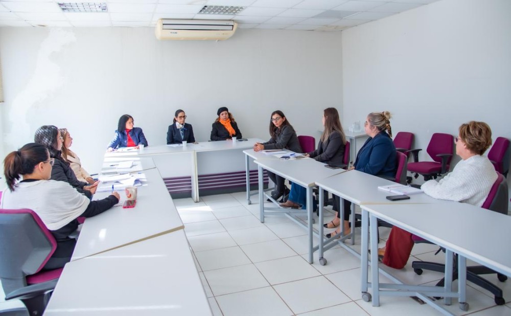 TCE-MS e CMB trabalham pela reinserção de mulheres vítimas de violência no mercado de trabalho