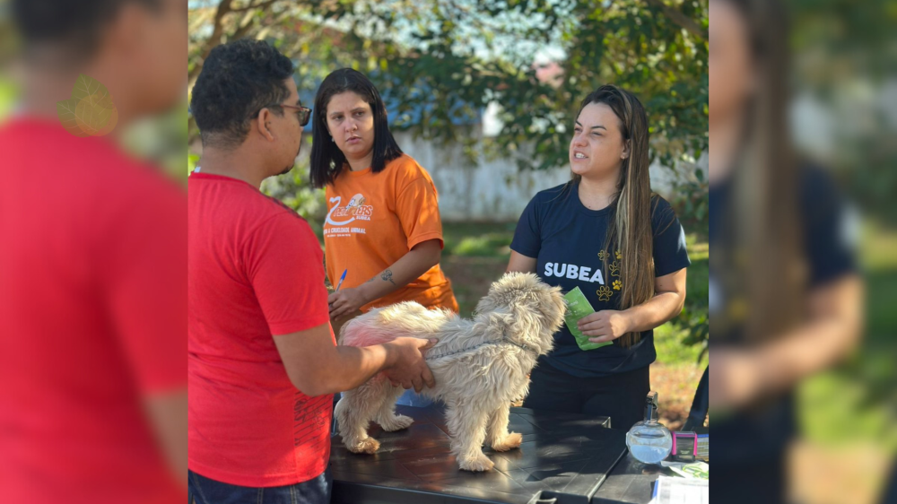 Consultório Veterinário Móvel levará serviços a bairros de CG em julho