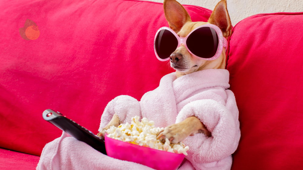 5 Dicas de Filmes e Séries Para Maratonar Neste Final de Semana