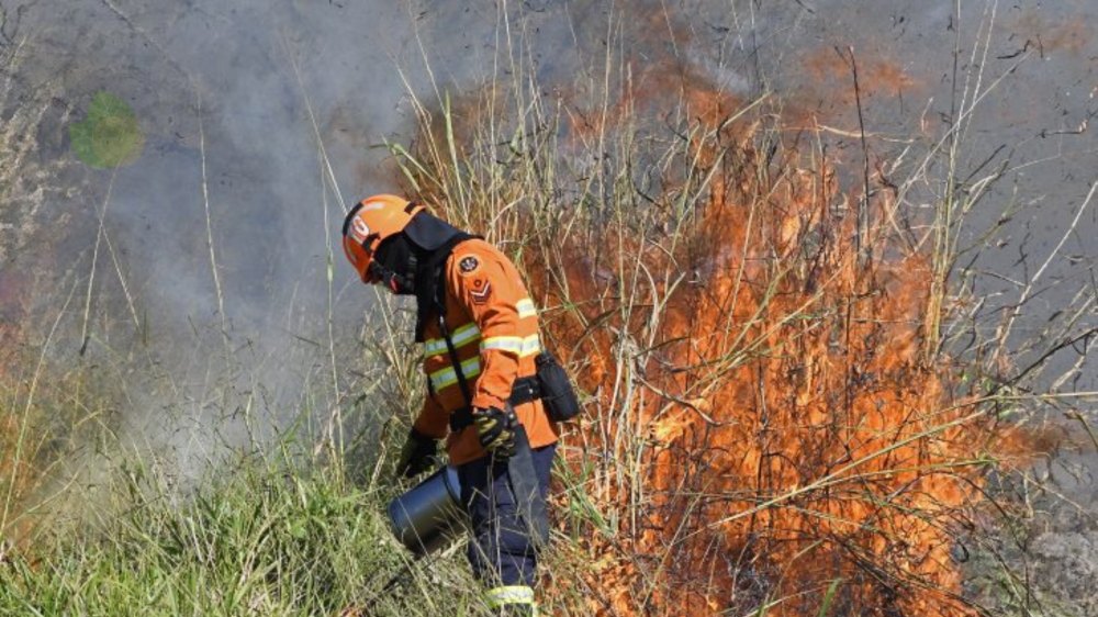 Imasul aponta áreas estratégicas para queima prescrita no Pantanal