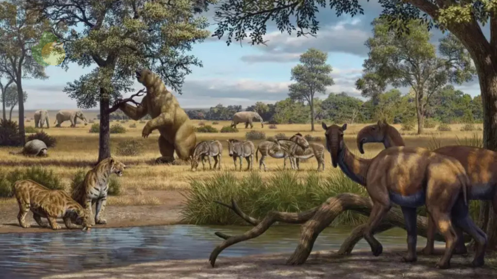 Megafauna brasileira pode ter sobrevivido até 3 mil anos atrás