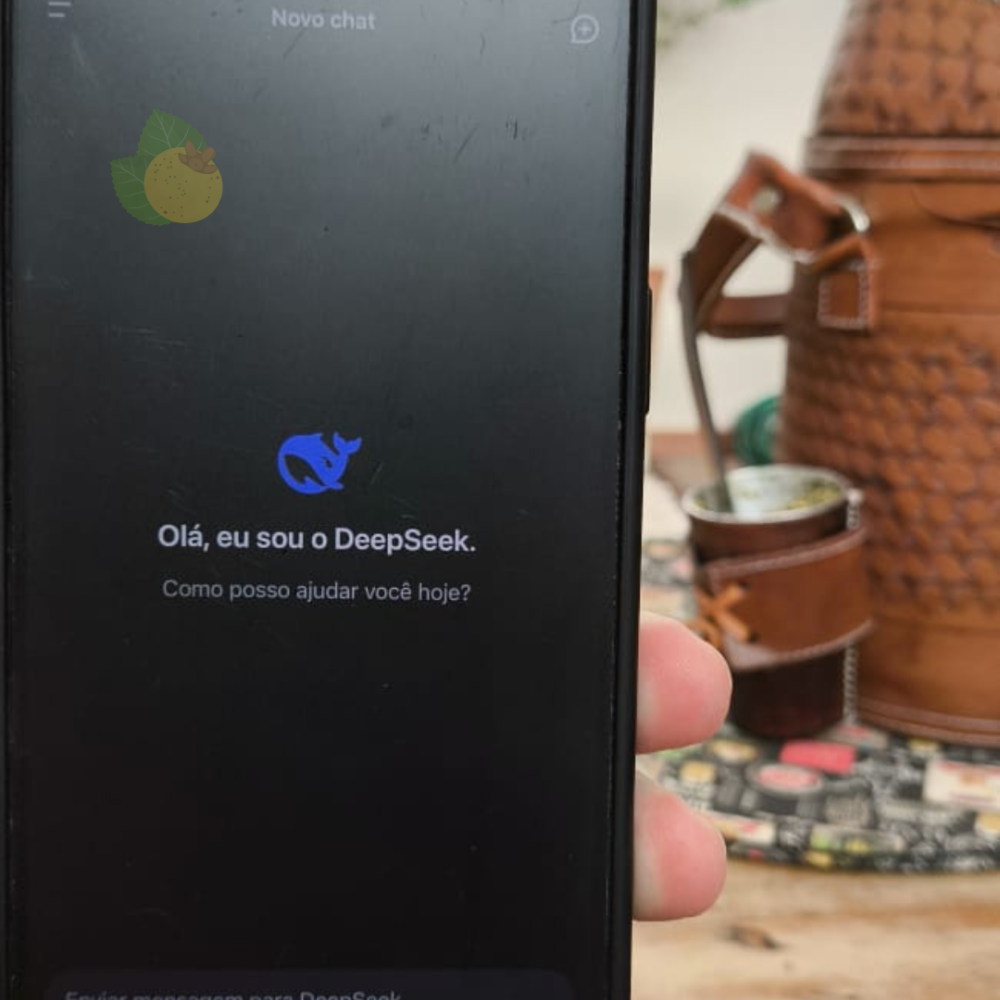 DeepSeek: a IA chinesa que desafia o ChatGPT e conquista o mercado internacional