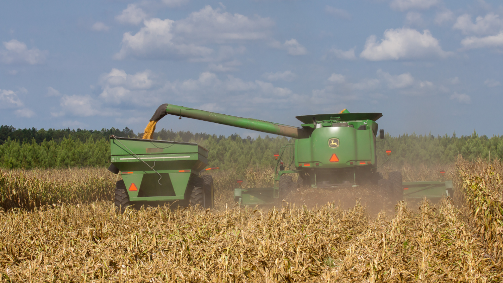 Agro em MS começa sexta estável, com cotações ajustadas por clima e exportação