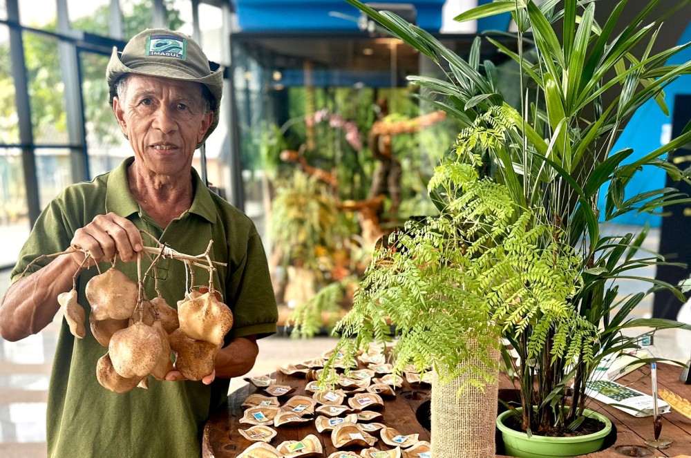 Bioparque Pantanal resgata memórias com exposição de frutos e sementes do Cerrado