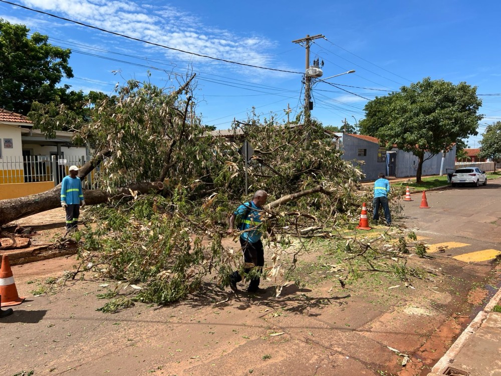 Ações coordenadas pela Prefeitura minimizam efeitos das chuvas na capital