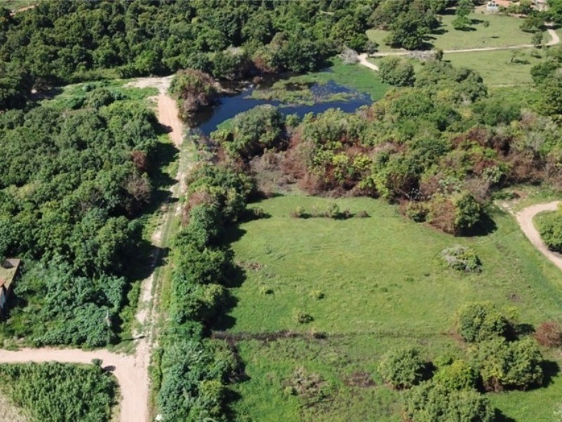 MP-MS apura crimes ambientais e abandono no Parque Zoobotânico e Rio Taquari, em Coxim