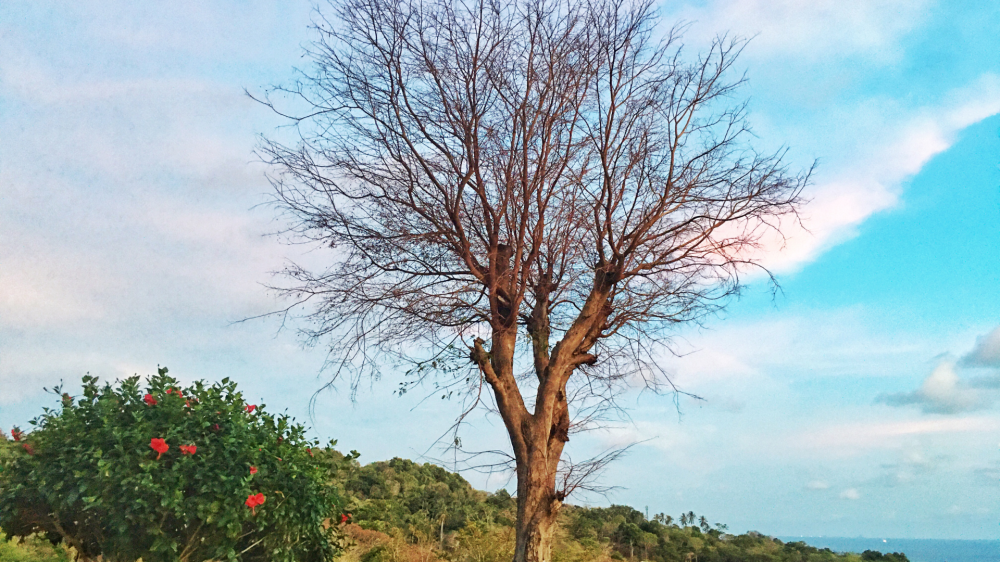 MS amanhece com clima seco e ensolarado neste sábado