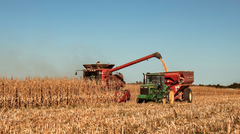 Mercado agro de Mato Grosso do Sul inicia domingo firme, com soja em destaque