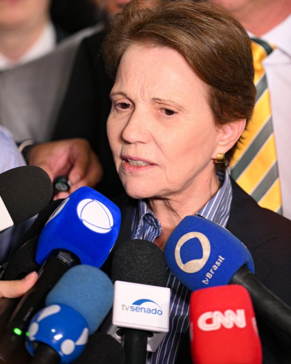 Senadora Tereza Cristina (PP-MS) apoia oposição e busca normalidade no Senado com diálogo
