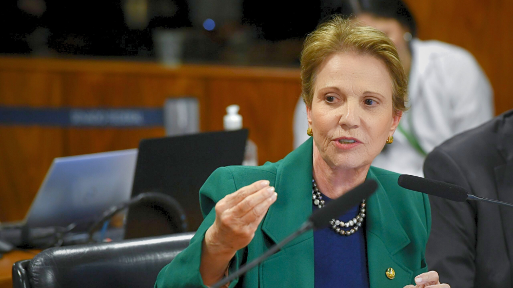 Senadora Tereza Cristina comemora nova lei que protege e desenvolve o Pantanal