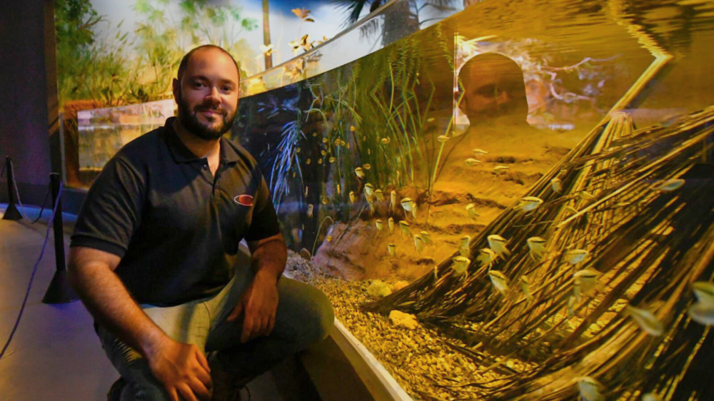 De brincadeira com peixinhos de brinquedo à curadoria do Bioparque Pantanal: a trajetória de Heriberto Gimênes Junior