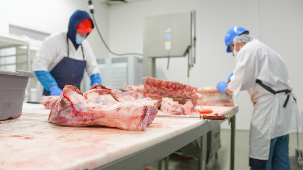 Exportações sul-mato-grossenses somam US$ 7,24 bi; destaque para carne bovina