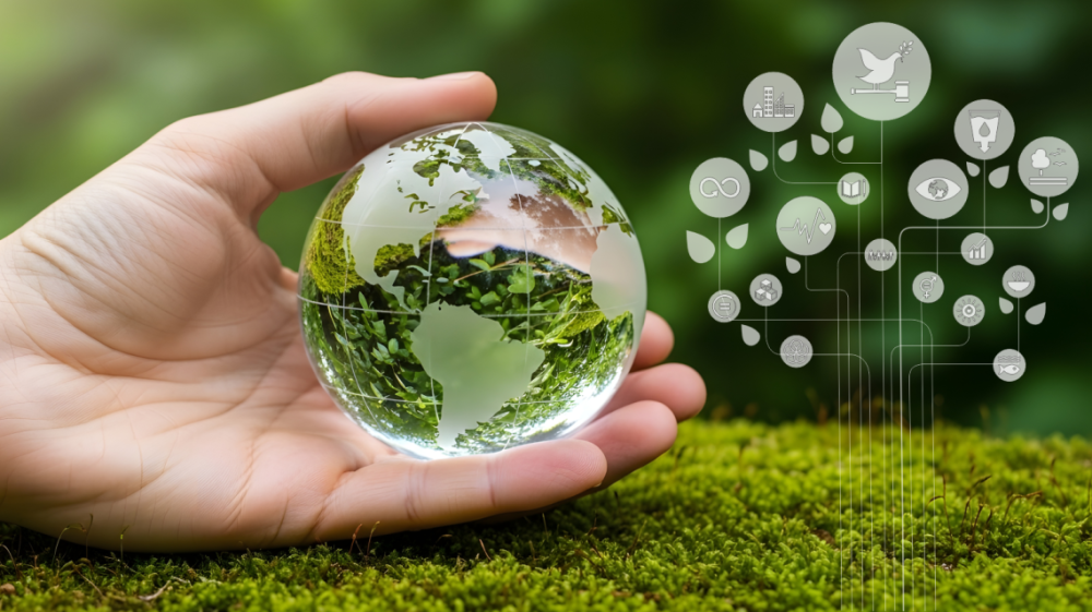 TCE-MS reforça compromisso ambiental com nova Diretoria e Agenda 2030