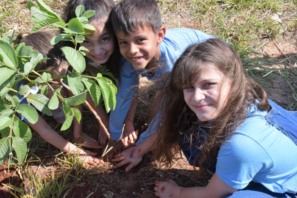 Prefeitura lança Miniflorestas Urbanas e reforça rede de micro-habitats de biodiversidade na Capital