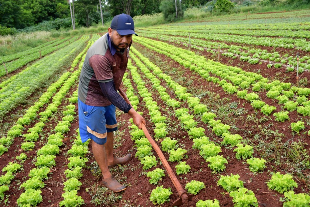 Produtores locais aderem ao Programa de Aquisição de Alimentos em ação formalizada pela Prefeitura