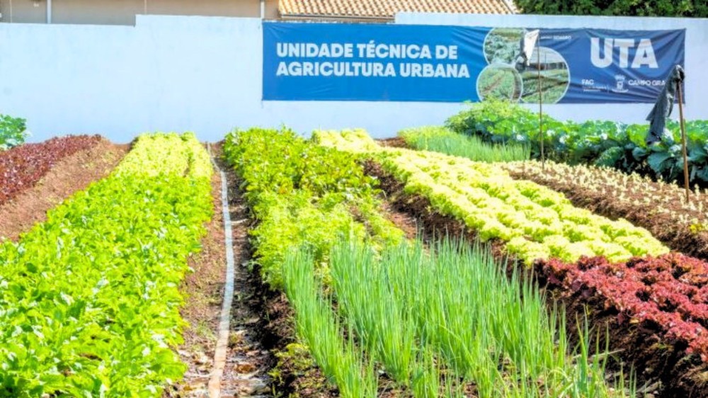 Solidariedade que alimenta: Ceasa-MS transforma excedentes em esperança e adubo para comunidades