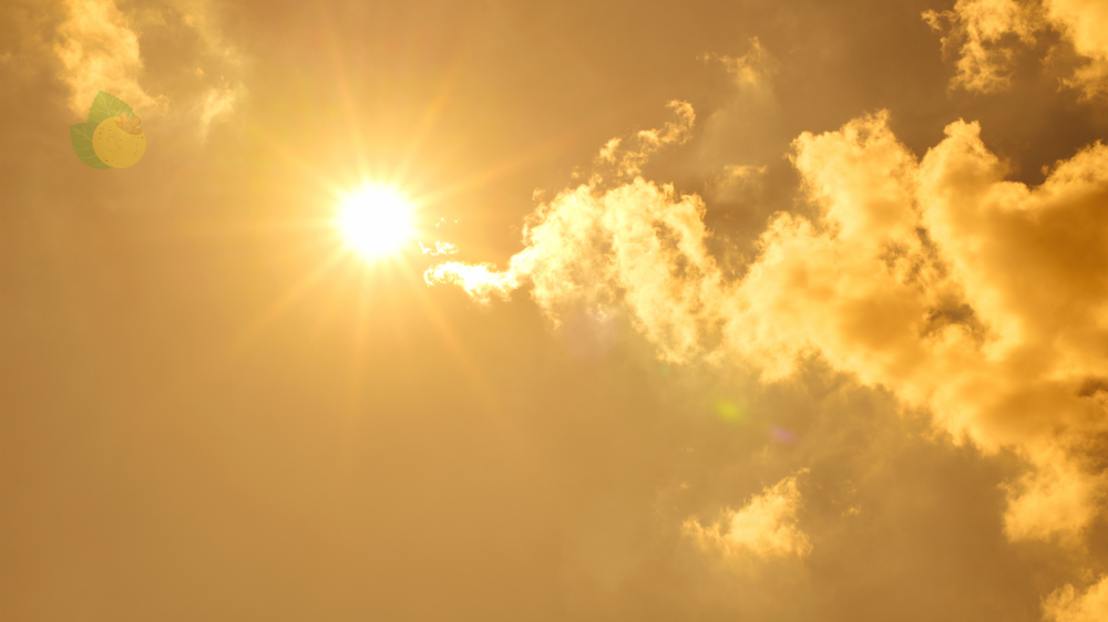 Calor intenso e pancadas de chuva marcam o fim de semana