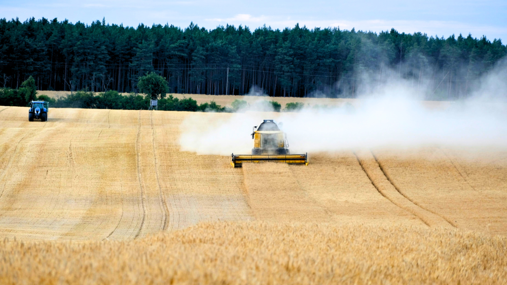 Mercado rural de MS inicia domingo com equilíbrio nas cotações e expectativas positivas