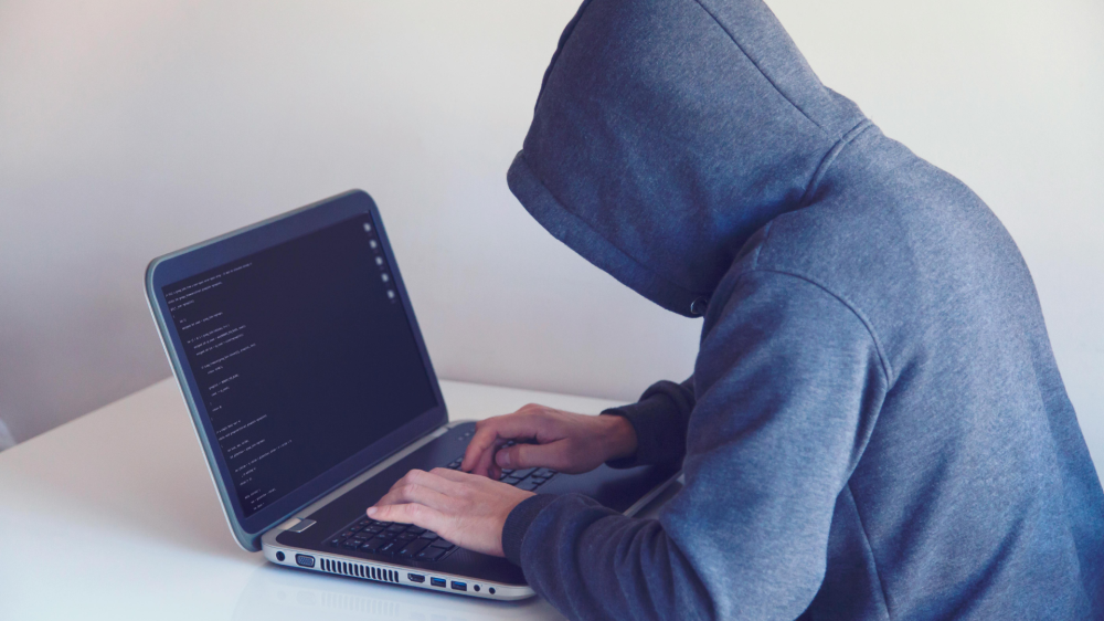 Sites falsos de leilão clonam identidade de empresas e fazem vítimas em MS