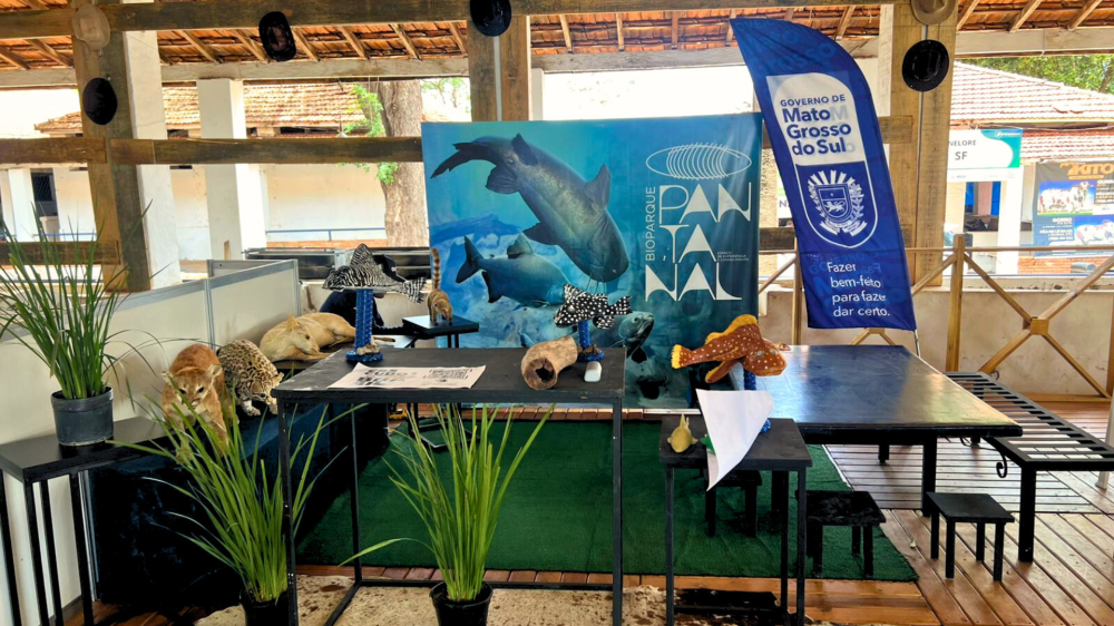 Fernanda Balestieri reforça missão inclusiva do Bioparque Pantanal durante o Rodeo Fest Inclusivo
