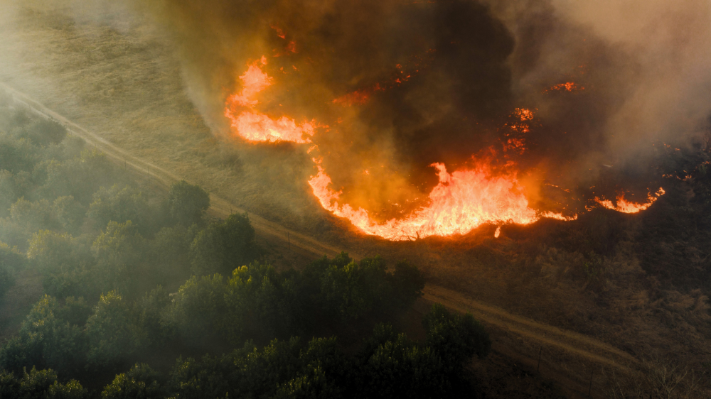 Empresa é multada em R$ 4,8 milhões por incêndio em áreas de preservação em Angélica