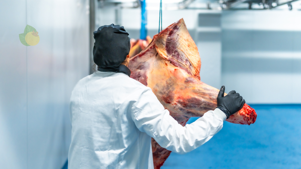 Corredor Bioceânico promete agilizar a exportação de carne em MS com menor custo e tempo