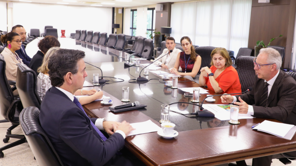TJMS aprova Plano de Ação para aprimorar atendimento a povos indígenas no biênio 2025/2026