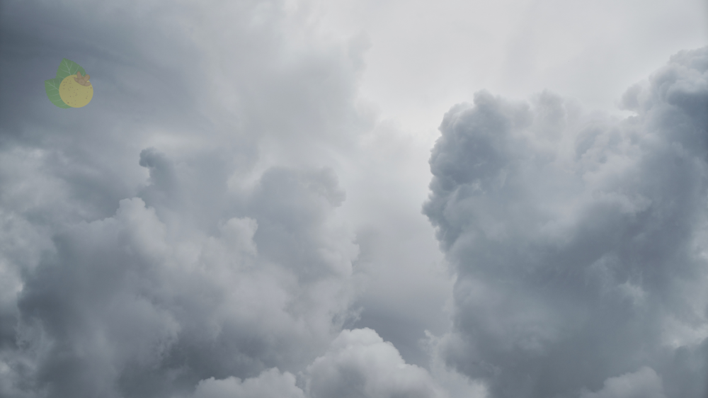 Sol e pancadas de chuva isoladas caracterizam o clima de verão em Mato Grosso do Sul