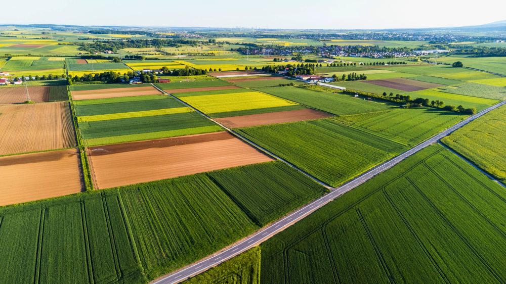 Cotações agropecuárias mostram solidez no setor em Mato Grosso do Sul