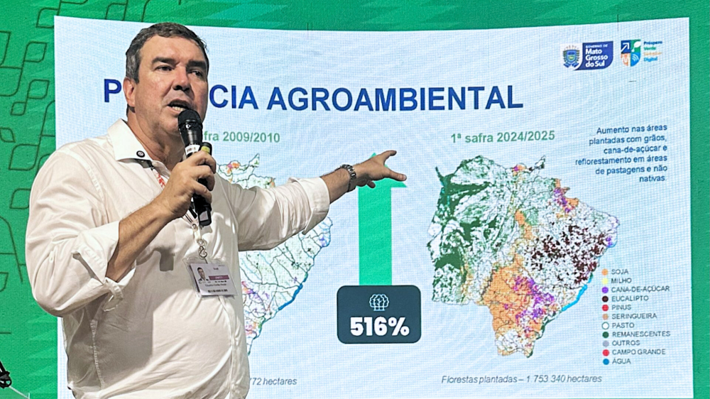 Governador Riedel destaca avanços ambientais e crescimento econômico na COP30