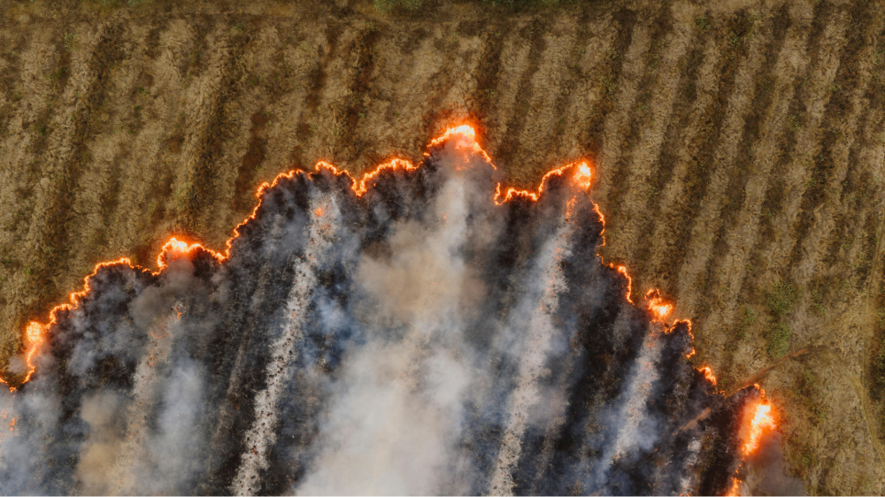 MPMS investiga incêndio e aplica multa milionária por danos ambientais em MS
