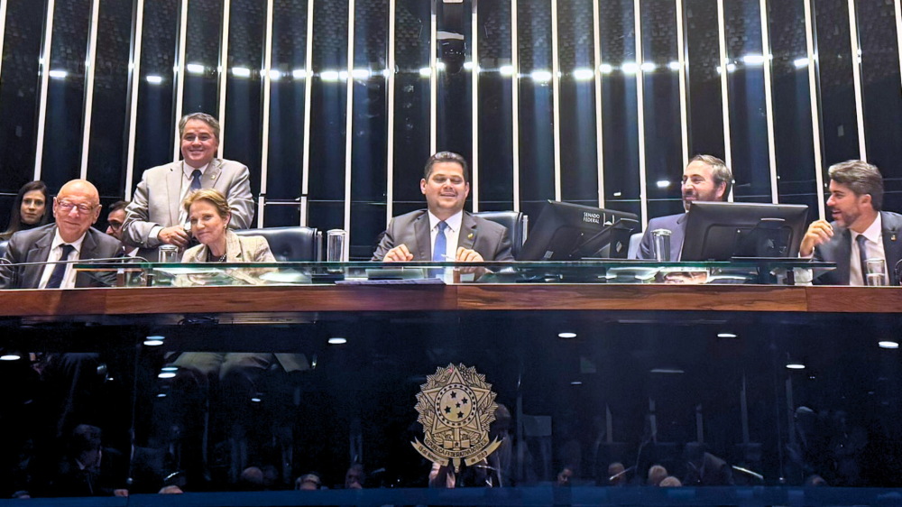 Tereza Cristina destaca segurança jurídica e defesa do agro após aprovação da PEC do Marco Temporal