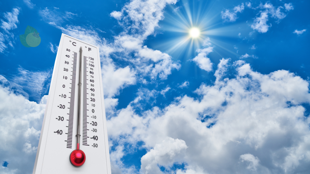 Capital tem manhã quente nesta quinta-feira, com previsão de calor e chuvas no Estado