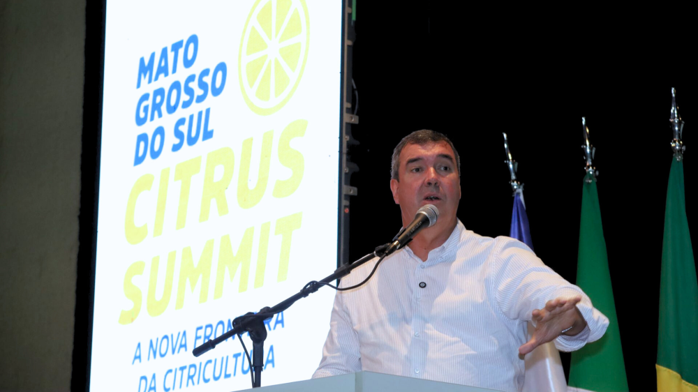 Governo Riedel e produtores estruturam citricultura com foco em sanidade, logística e atração de investimentos