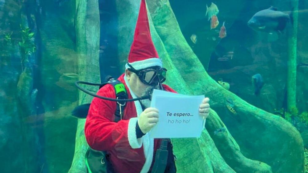 Papai Noel mergulhador encanta visitantes no Bioparque Pantanal em dezembro