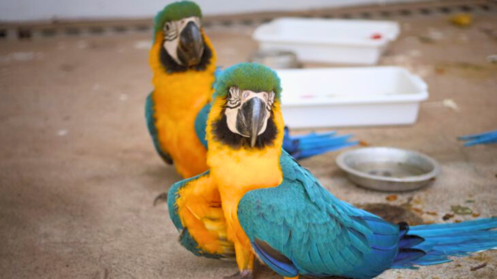 Governo inaugura centro de triagem de animais silvestres em Três Lagoas