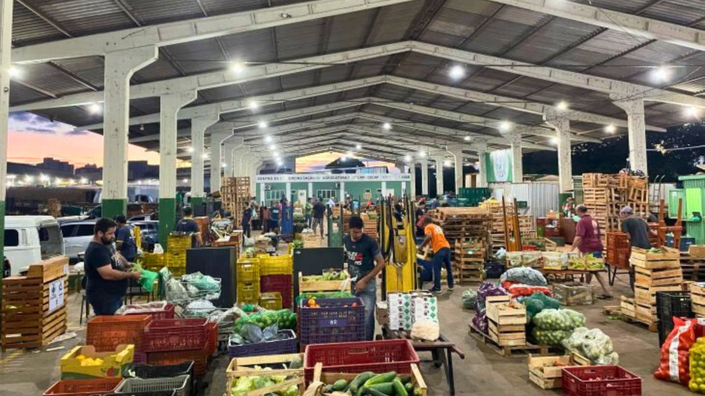 Passo a passo para comercializar na Ceasa para agricultura familiar