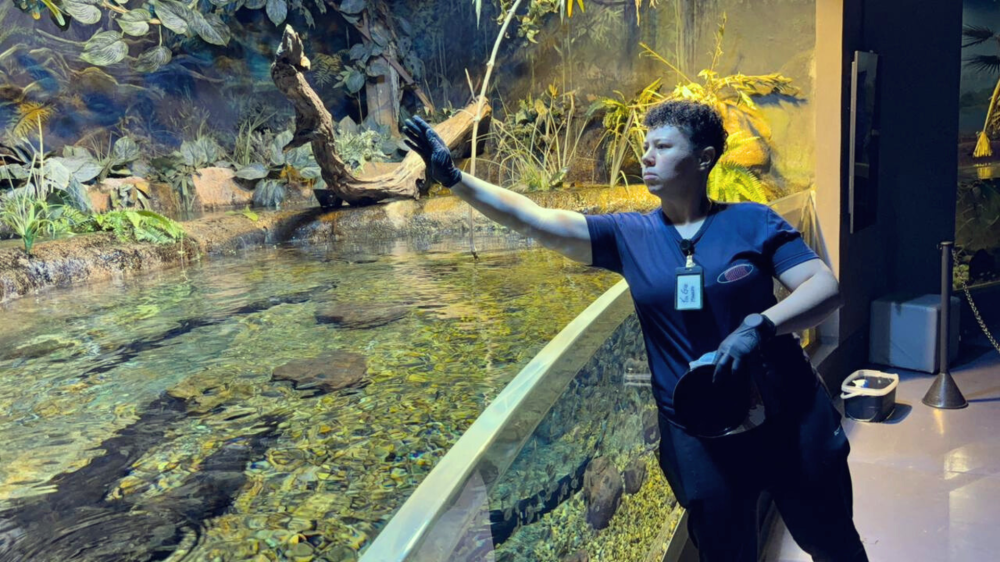 Congresso nacional no Bioparque Pantanal oferece minicursos em áreas estratégicas