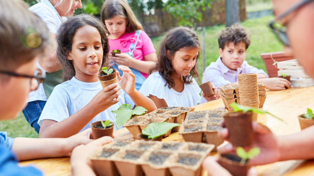 Política Municipal de Educação Ambiental contará com a contribuição da sociedade civil