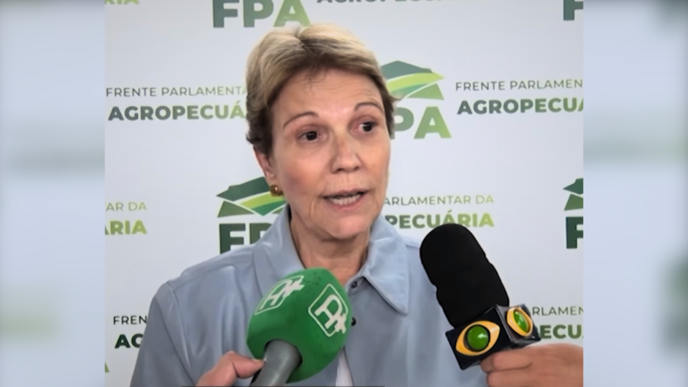 Senadora Tereza Cristina critica veto federal e defende produtores da fronteira