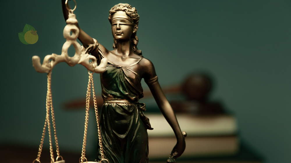 Ex-modelo e apresentadora é condenada pela Justiça de MS por danos morais a jornalista